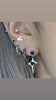 Mini black heart piercing