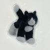 Black and white kitty griptok